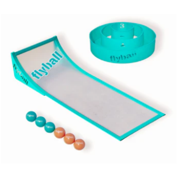Flyball Game Set