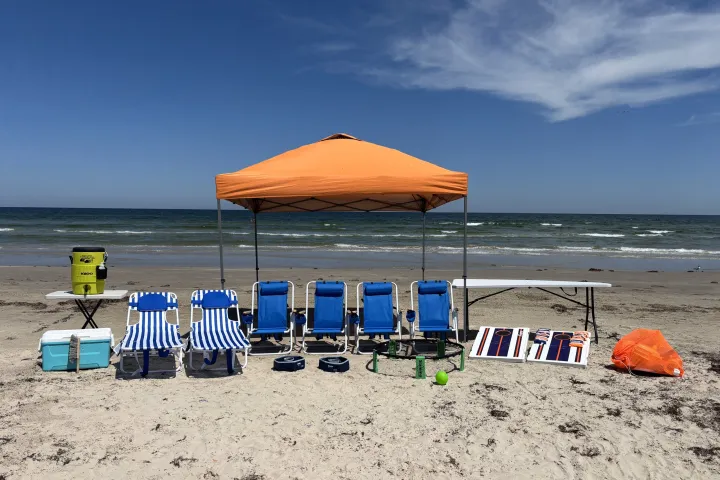 Fun In The Sun